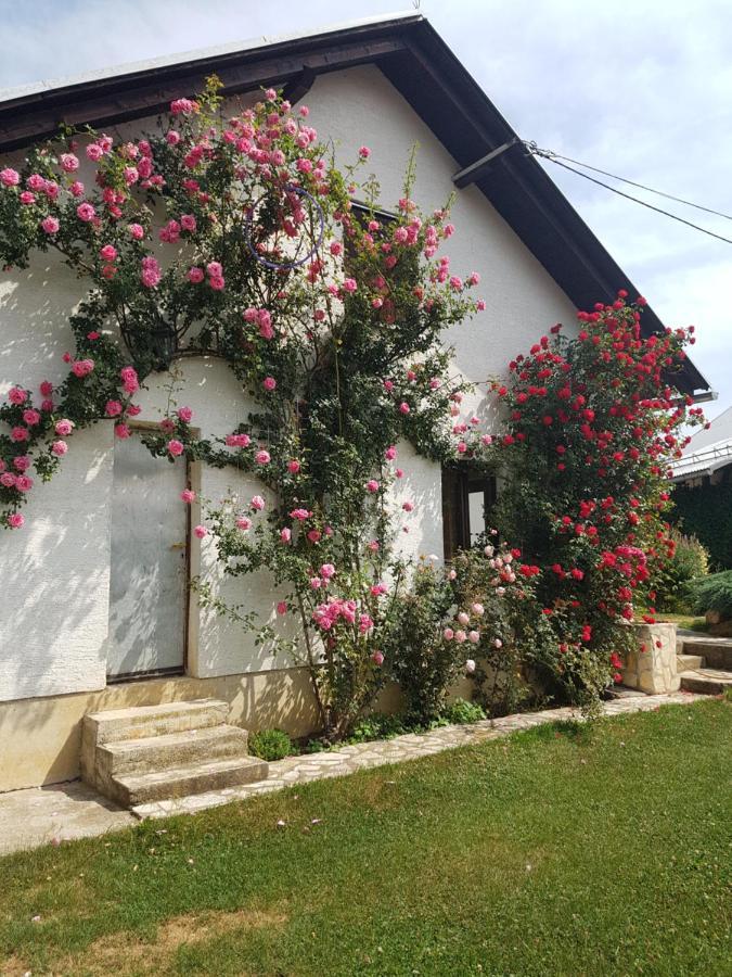 Ferienwohnung Apartman Ivano Gospić Exterior foto